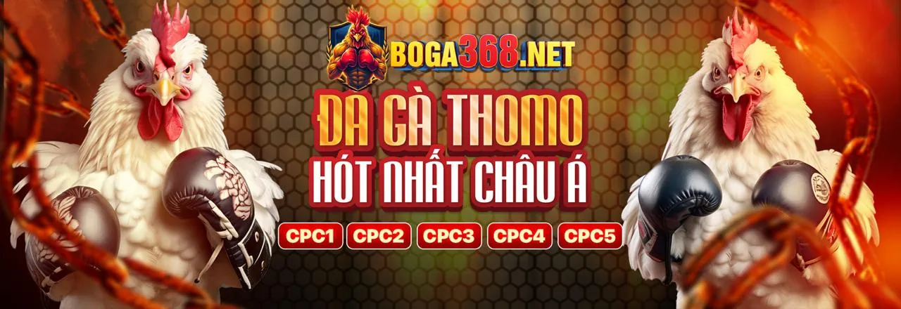 Tương thích di động hoàn hảo với ứng dụng 23win01 link mới