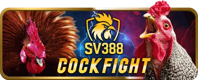 Giao diện đặt cược thể thao tại 23win01